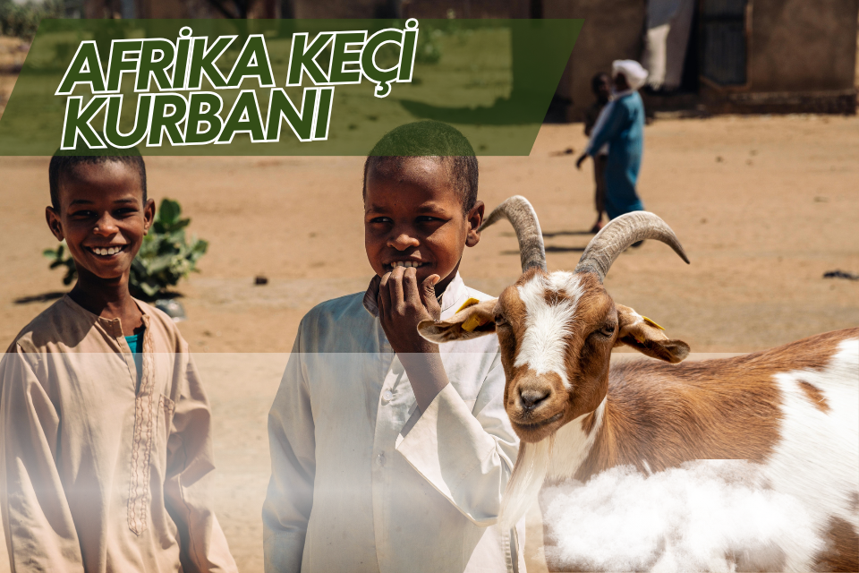 Afrika Keçi Kurbanı