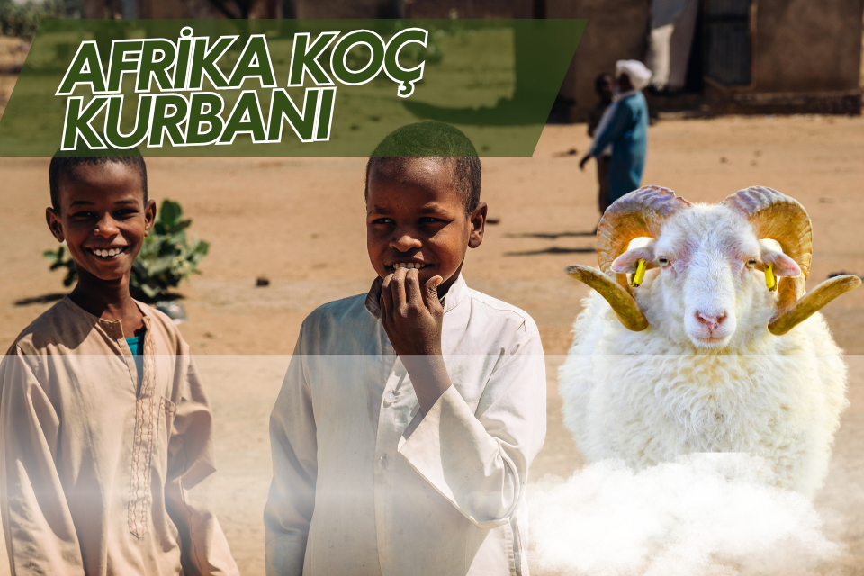 Afrika Koç Kurbanı