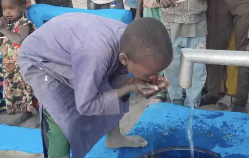 Afrika Su Kuyusu - Hisse