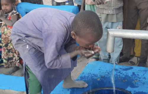 Afrika Su Kuyusu - Hisse