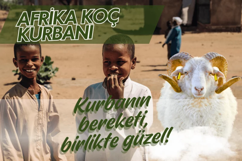 Akika Kurbanı Paylaş