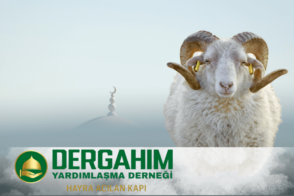 Yurtiçi Küçükbaş Kurban