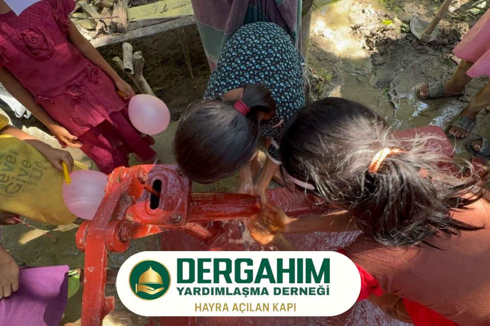 Asya Su Kuyuları - Hisse