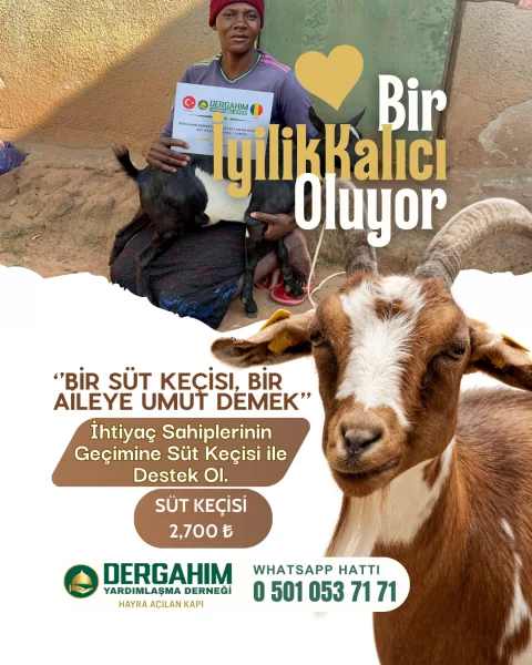 Süt Keçisi Dağıtımları Devam Ediyor