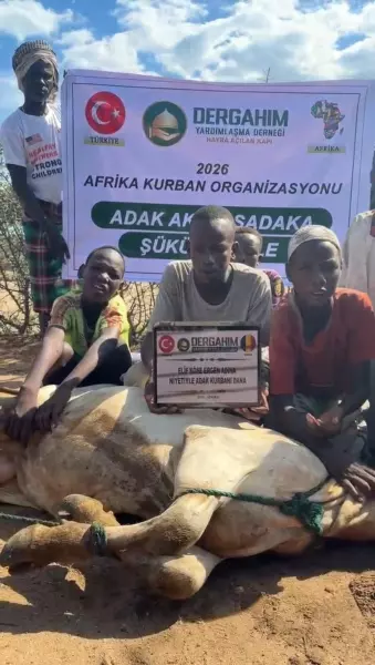 Afrika Büyükbaş Kurban