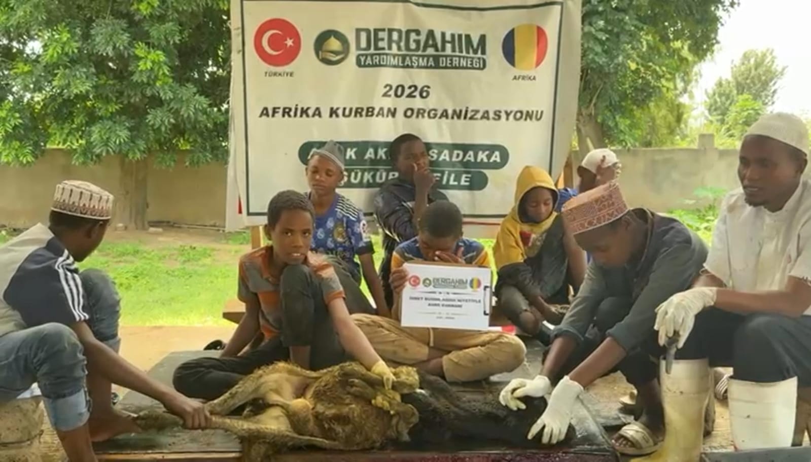 Afrika Koyun Kurbanı